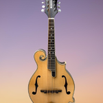 mandolin_for_sale