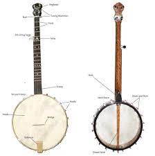 5_string_banjo